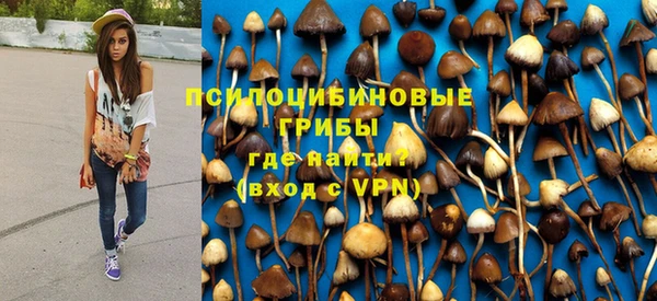 эйфоретик Кукмор