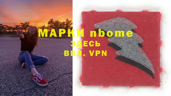 индика Костерёво