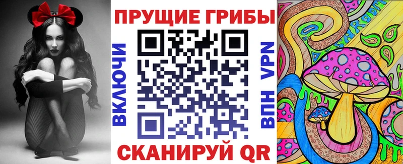 Галлюциногенные грибы Cubensis  kraken зеркало  Миллерово 