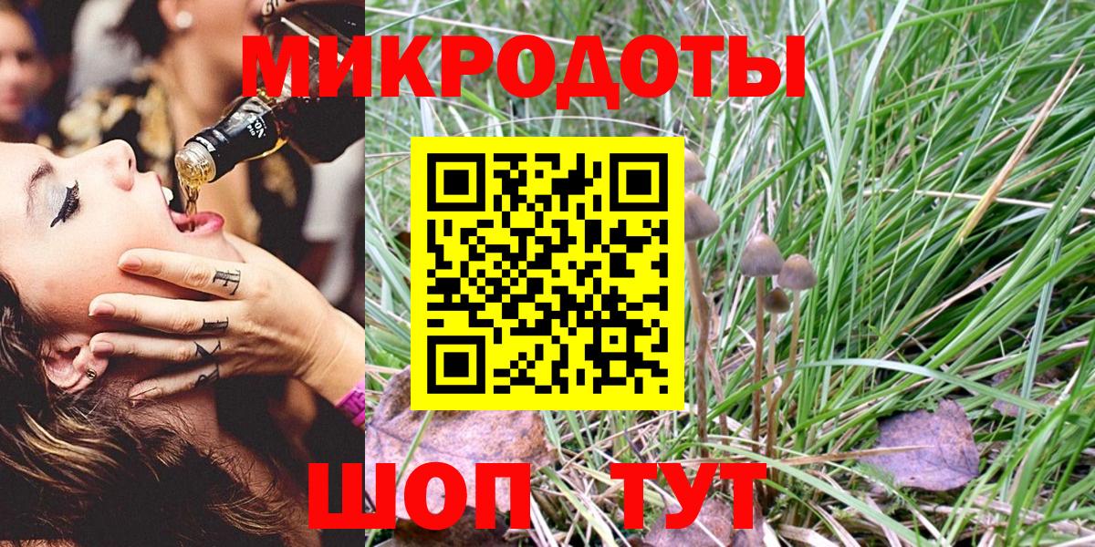 Галлюциногенные грибы Psilocybe Миллерово