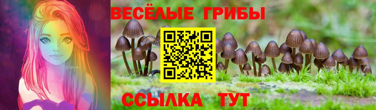 Галлюциногенные грибы прущие грибы  Вход с VPN  Миллерово 